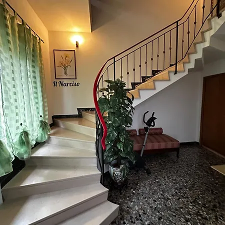 Il Narciso Montecatini Terme